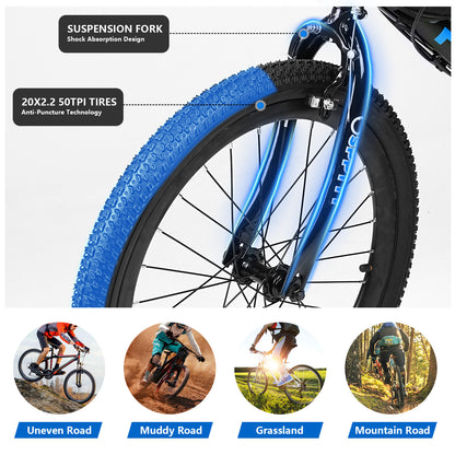 20-24 inch Bike,6-Speed Mountain Bike for Men Women Boys Girls,Dual Suspension,Comfort Saddle