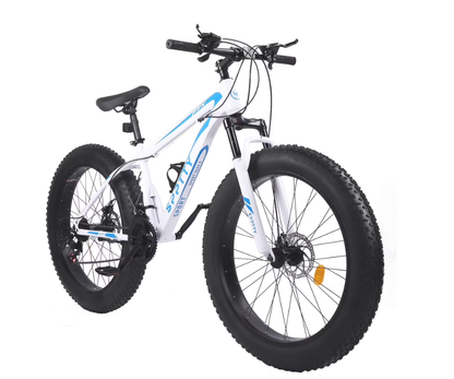 SPPTTY 26" Fat Tire Mountain Bike,4" Non-Slip Wide Tires with 21 Speed,Dual Disc Brakes,Bicycle for Men and Women
