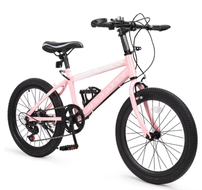 SPPTTY 20-24 inch Bike,6-Speed Mountain Bike for Men Women Boys Girls,Comfort Saddle