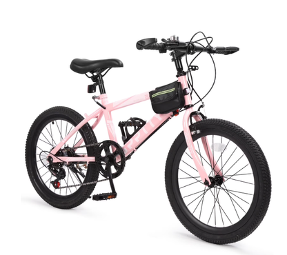 SPPTTY 20-24 inch Bike,6-Speed Mountain Bike for Men Women Boys Girls,Dual Suspension,Comfort Saddle
